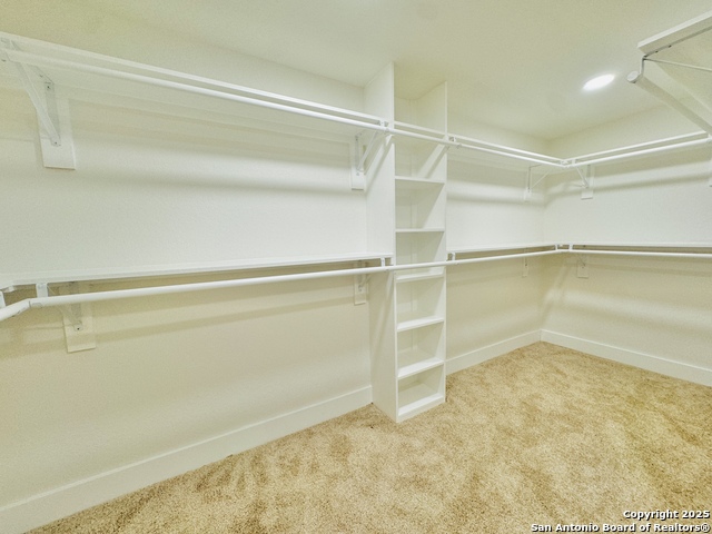 Image 17 of 29 For 123 Marchmont