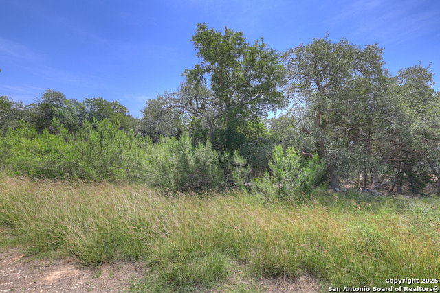 Image 7 of 26 For 2044 Passare