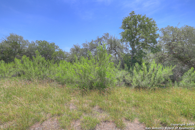 Image 8 of 26 For 2044 Passare