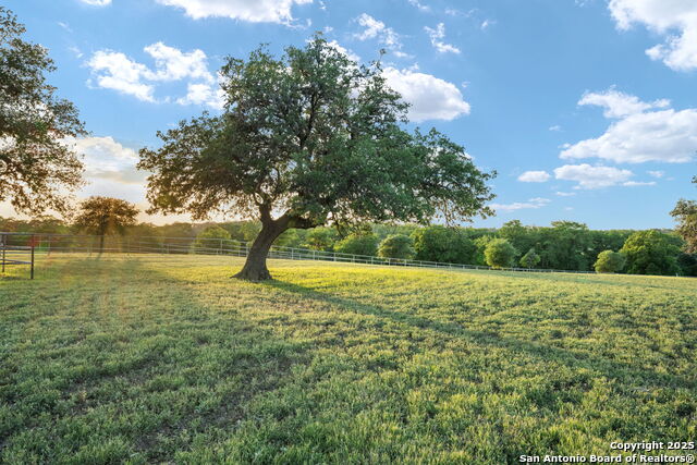 Image 10 of 43 For 25 Zoeller Lane