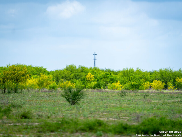Image 17 of 46 For 17317 Fm 1937