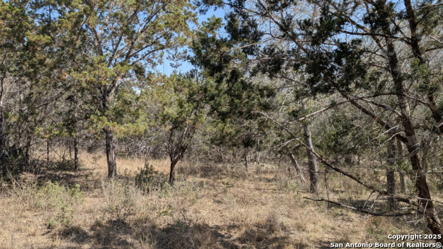 Image 9 of 9 For Tbd Gilder St. Gilder