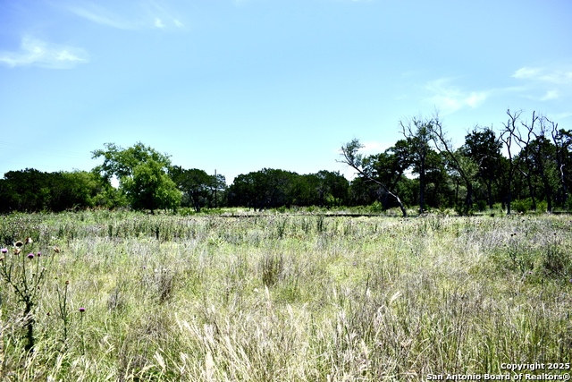 Listing photo id 8 for Lot 53 Clearwater Canyon Rd