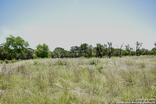 Listing photo id 10 for Lot 53 Clearwater Canyon Rd