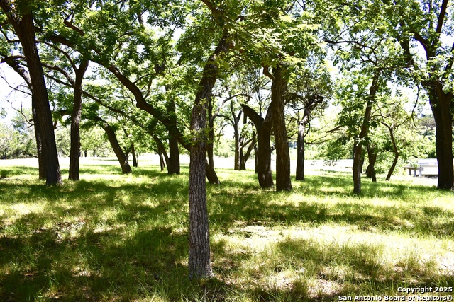 Listing photo id 11 for Lot 53 Clearwater Canyon Rd