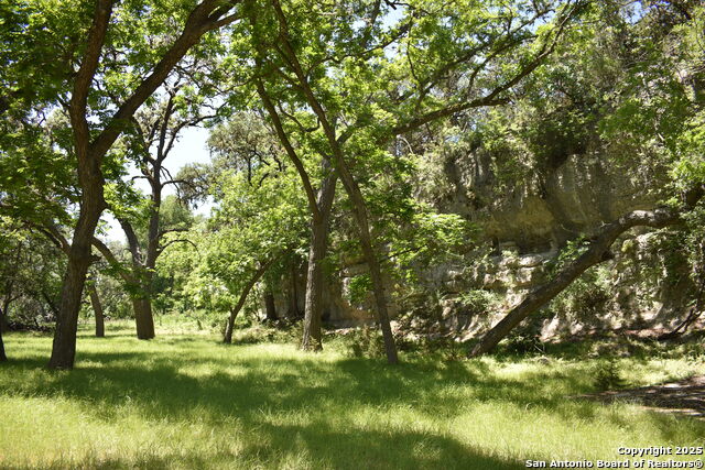 Listing photo id 19 for Lot 53 Clearwater Canyon Rd
