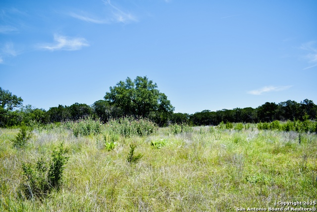 Listing photo id 1 for Lot 53 Clearwater Canyon Rd