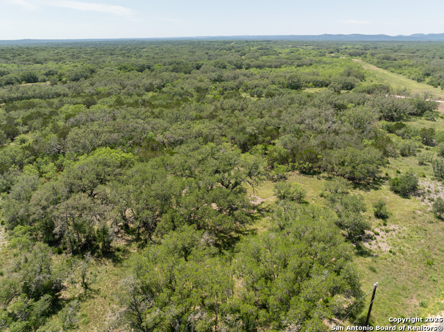Image 10 of 18 For Lot 47 Antler Forest