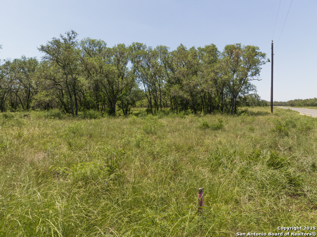 Image 11 of 18 For Lot 47 Antler Forest