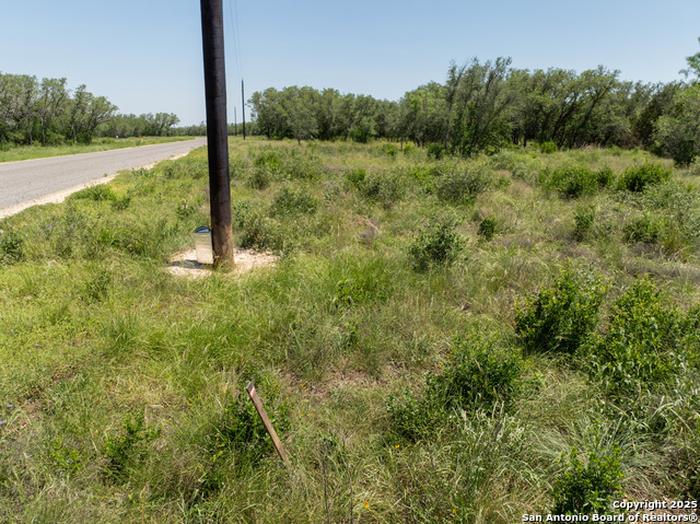 Image 12 of 18 For Lot 47 Antler Forest
