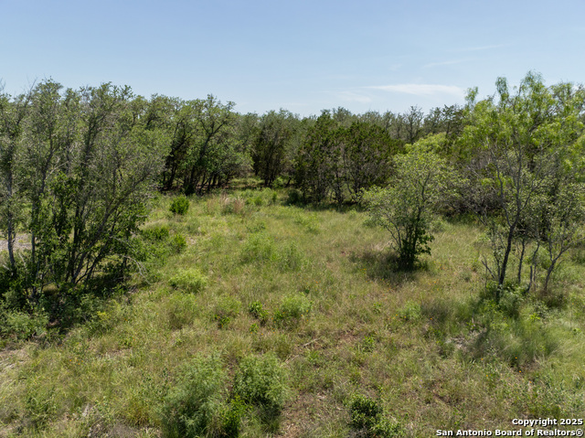 Image 13 of 18 For Lot 47 Antler Forest