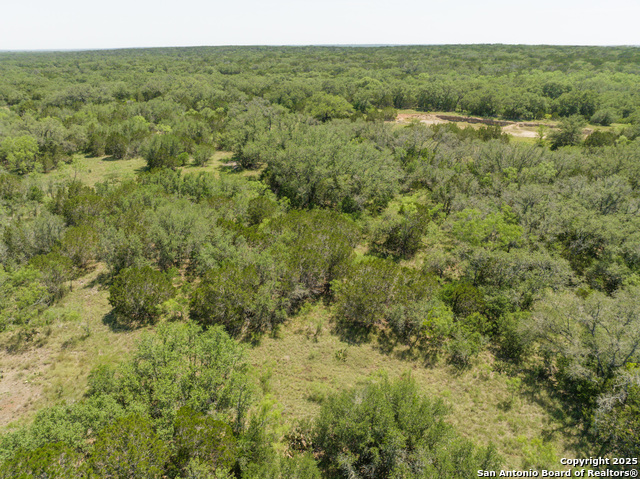 Image 15 of 18 For Lot 47 Antler Forest