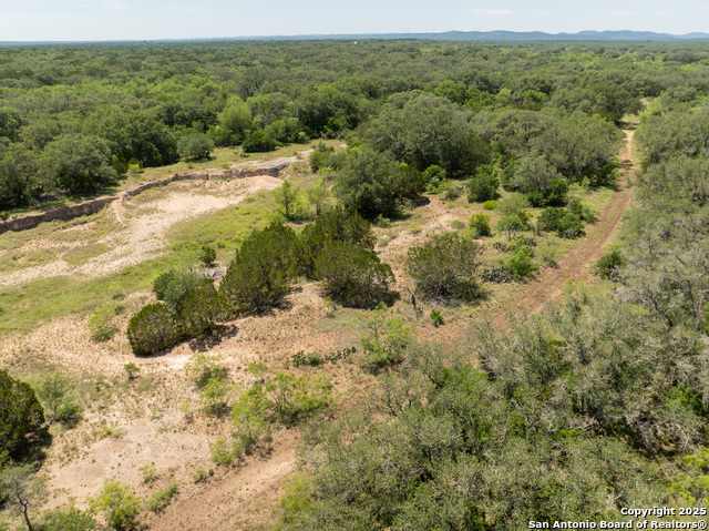 Image 16 of 18 For Lot 47 Antler Forest