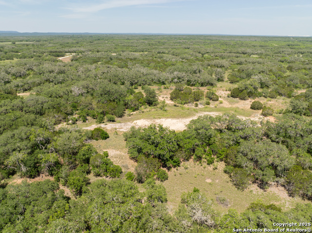 Image 18 of 18 For Lot 47 Antler Forest