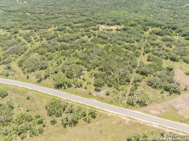 Image 3 of 18 For Lot 47 Antler Forest