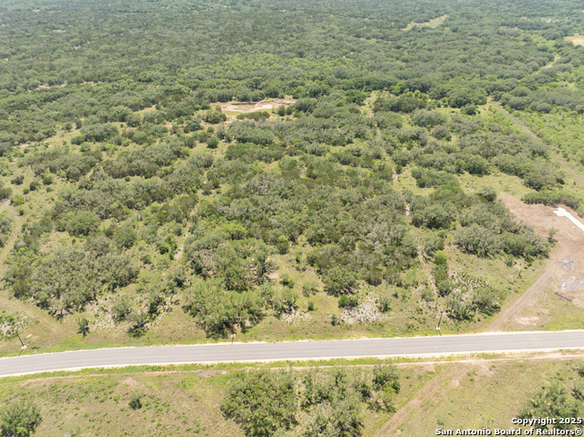 Image 4 of 18 For Lot 47 Antler Forest