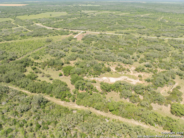 Image 5 of 18 For Lot 47 Antler Forest