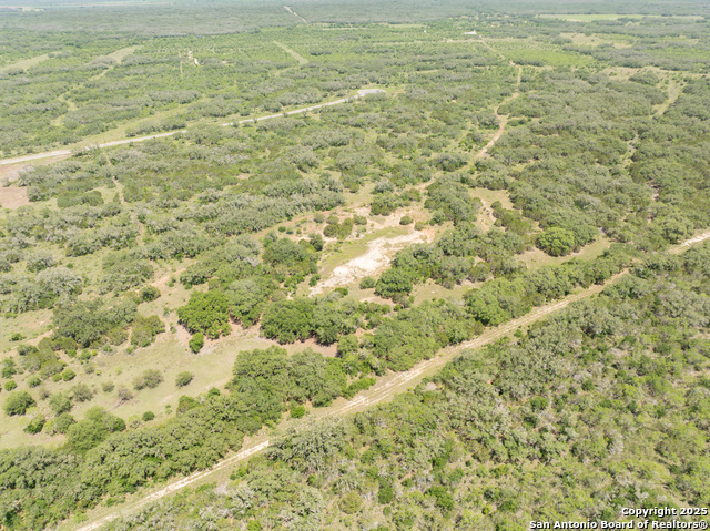 Image 6 of 18 For Lot 47 Antler Forest
