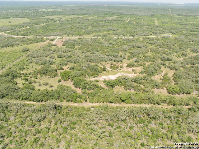 Image 7 of 18 For Lot 47 Antler Forest