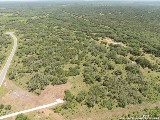Image 8 of 18 For Lot 47 Antler Forest