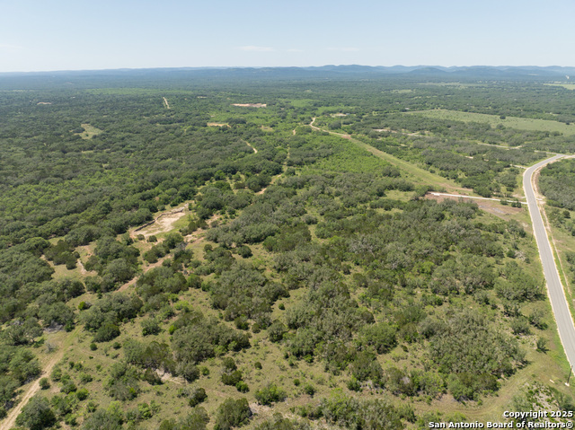 Image 9 of 18 For Lot 47 Antler Forest