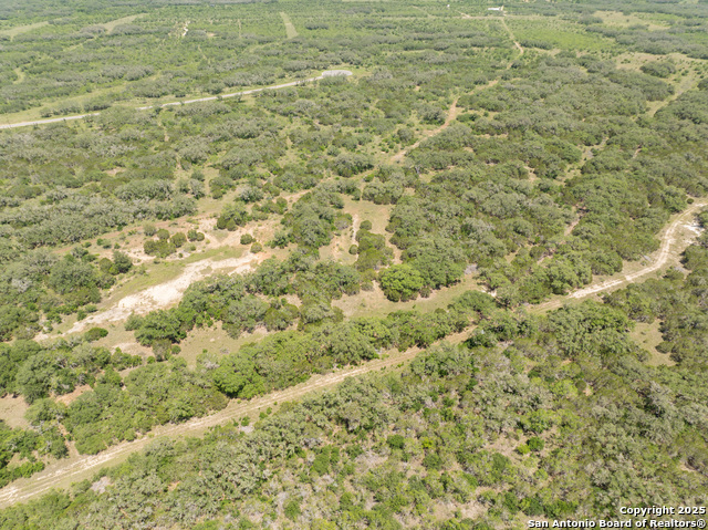 Image 10 of 16 For Lot 46 Antler Forest