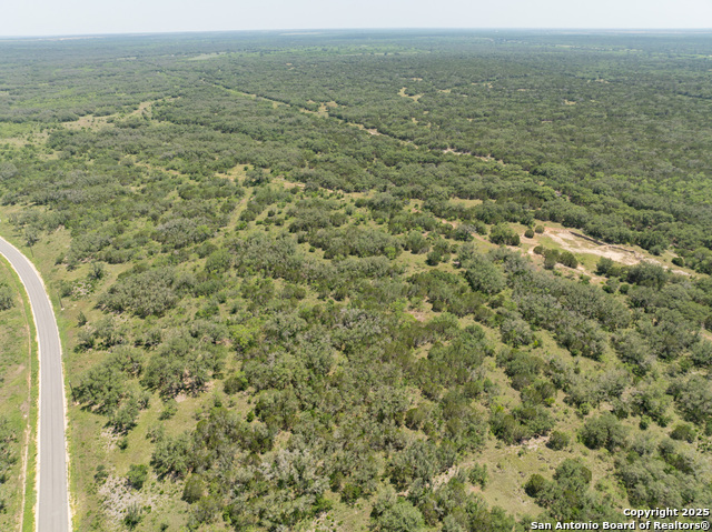 Image 11 of 16 For Lot 46 Antler Forest