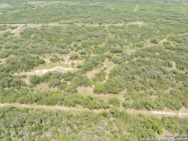 Image 13 of 16 For Lot 46 Antler Forest