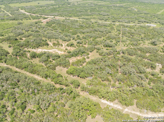Image 14 of 16 For Lot 46 Antler Forest