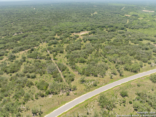 Image 15 of 16 For Lot 46 Antler Forest