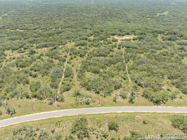 Image 16 of 16 For Lot 46 Antler Forest
