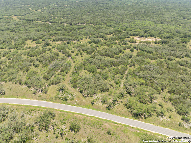 Image 2 of 16 For Lot 46 Antler Forest