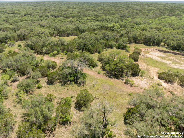 Image 5 of 16 For Lot 46 Antler Forest
