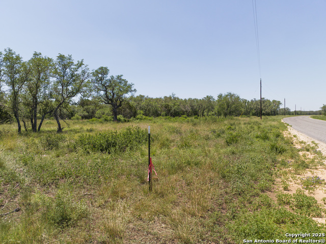 Image 6 of 16 For Lot 46 Antler Forest