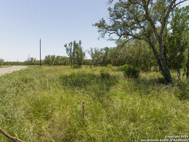 Image 7 of 16 For Lot 46 Antler Forest