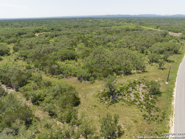 Image 8 of 16 For Lot 46 Antler Forest