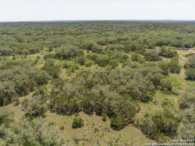 Image 9 of 16 For Lot 46 Antler Forest