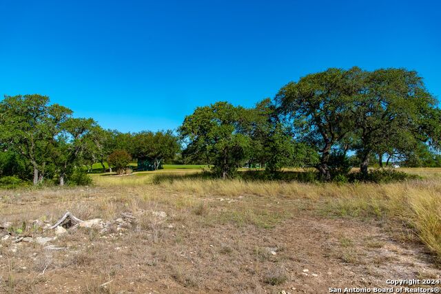 Details for 425 George Dolson, Blanco, TX 78606