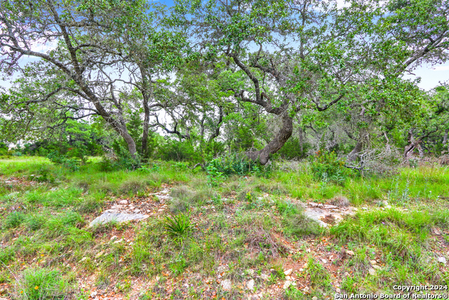 Image 29 of 34 For 173 Berry Oaks