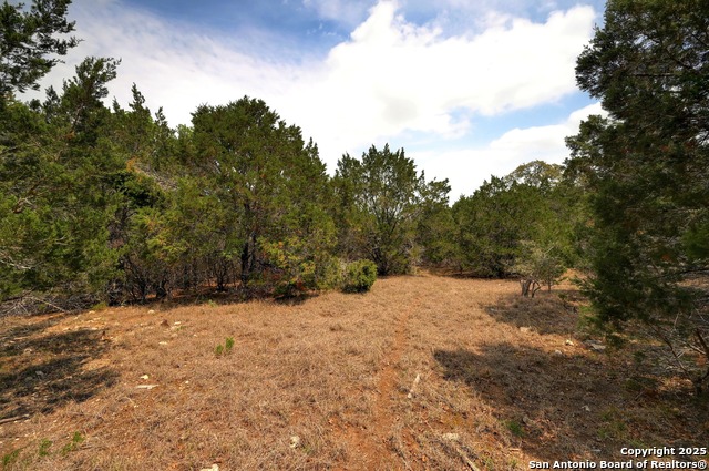 Listing photo id 9 for 2231 San Jose