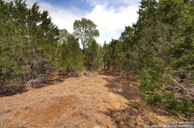 Listing photo id 10 for 2231 San Jose