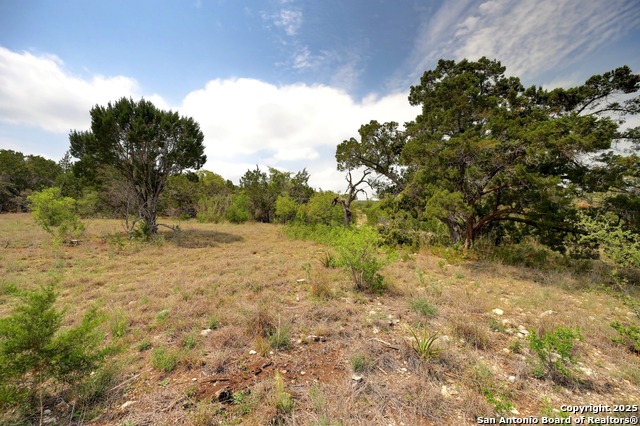 Listing photo id 13 for 2231 San Jose