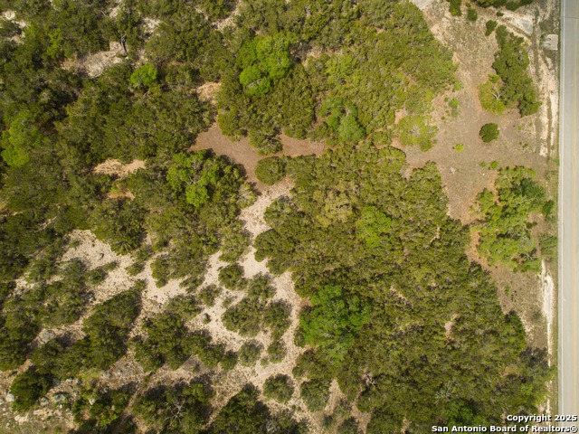 Listing photo id 17 for 2231 San Jose