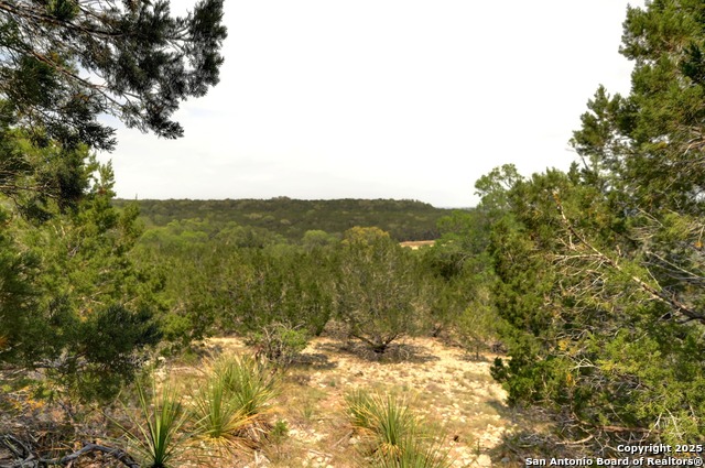 Listing photo id 22 for 2231 San Jose