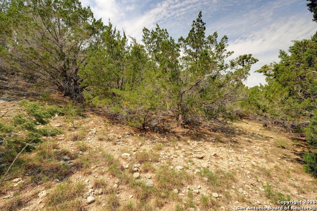 Listing photo id 24 for 2231 San Jose