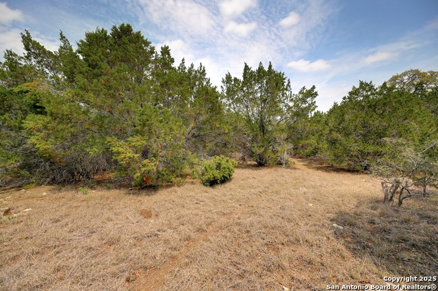 Listing photo id 25 for 2231 San Jose