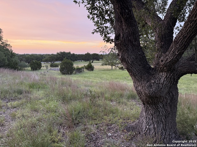 Listing photo id 42 for 320 Remington Dr