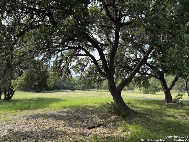 Listing photo id 43 for 320 Remington Dr