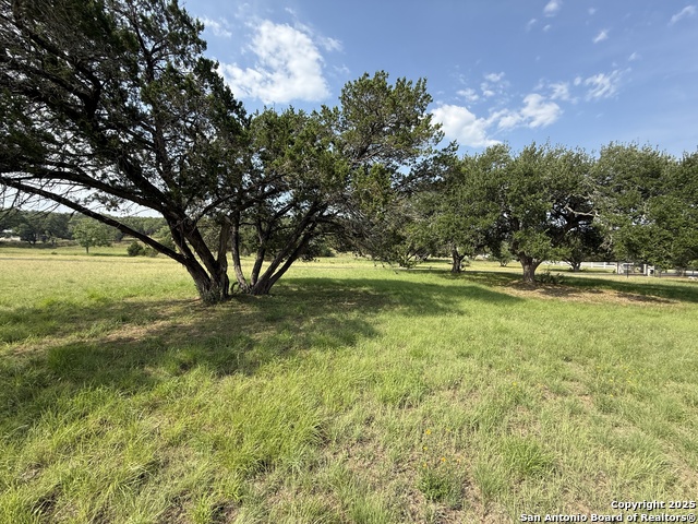 Listing photo id 45 for 320 Remington Dr