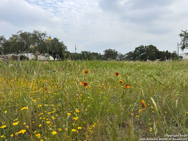 Listing photo id 0 for 1119 Hidden Valley